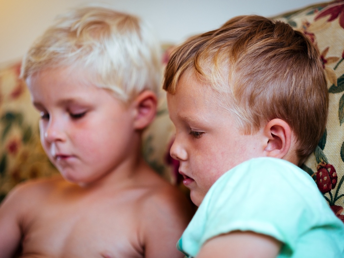   Фото: по лицензии CC0 Pxhere.com