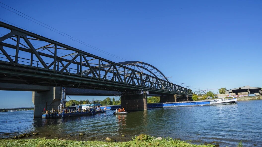    Andreas Arnold/Globallookpress