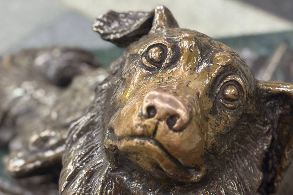 Памятник собаке на Менделеевской