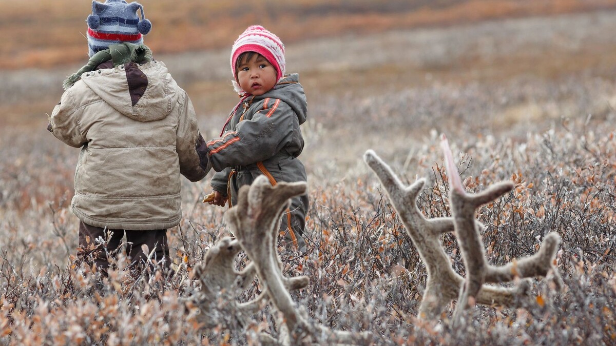    Фото: Andrei Stepanov / Shutterstock / Fotodom