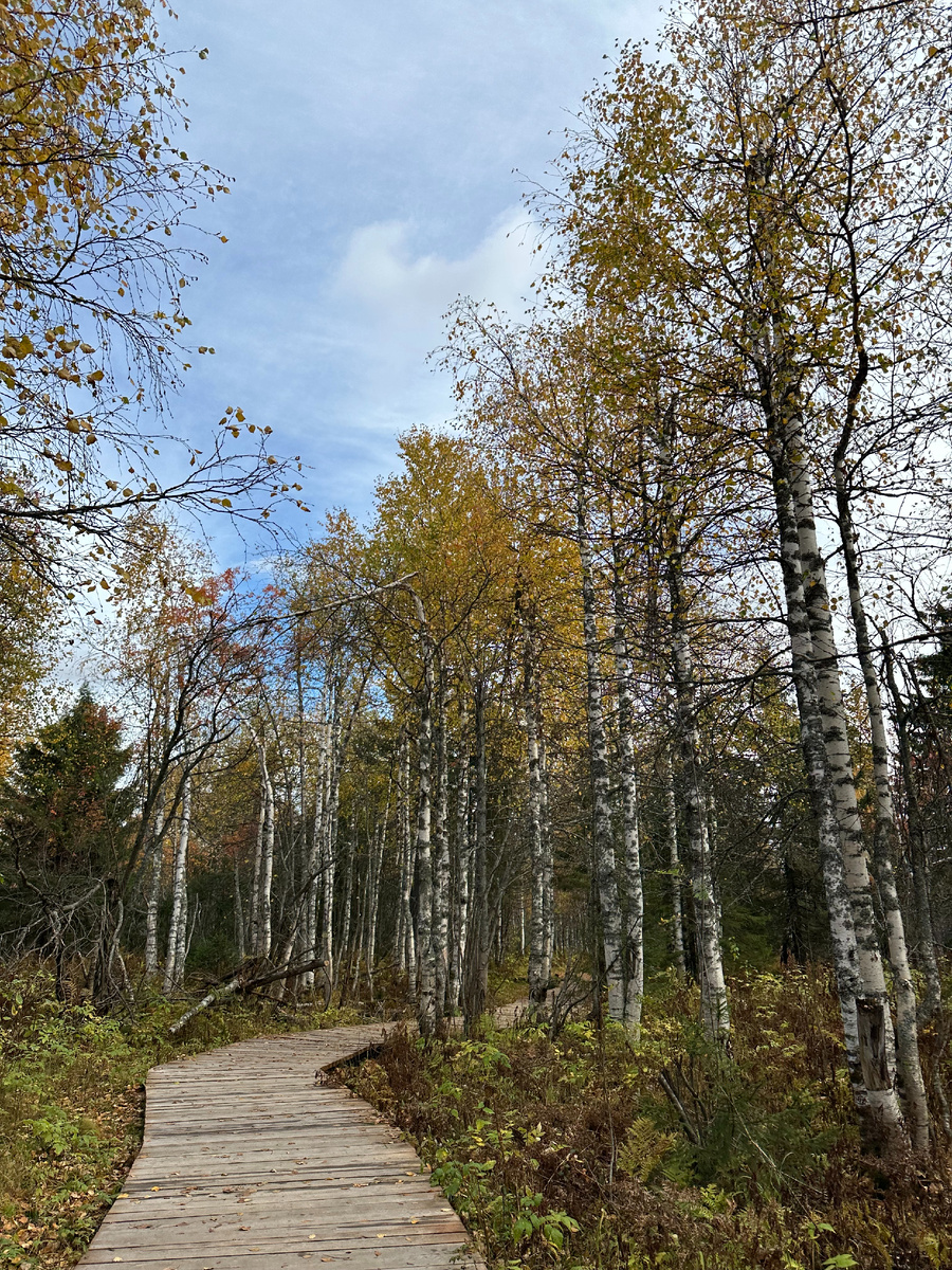 Тропинка, ведущая в Каменный город
