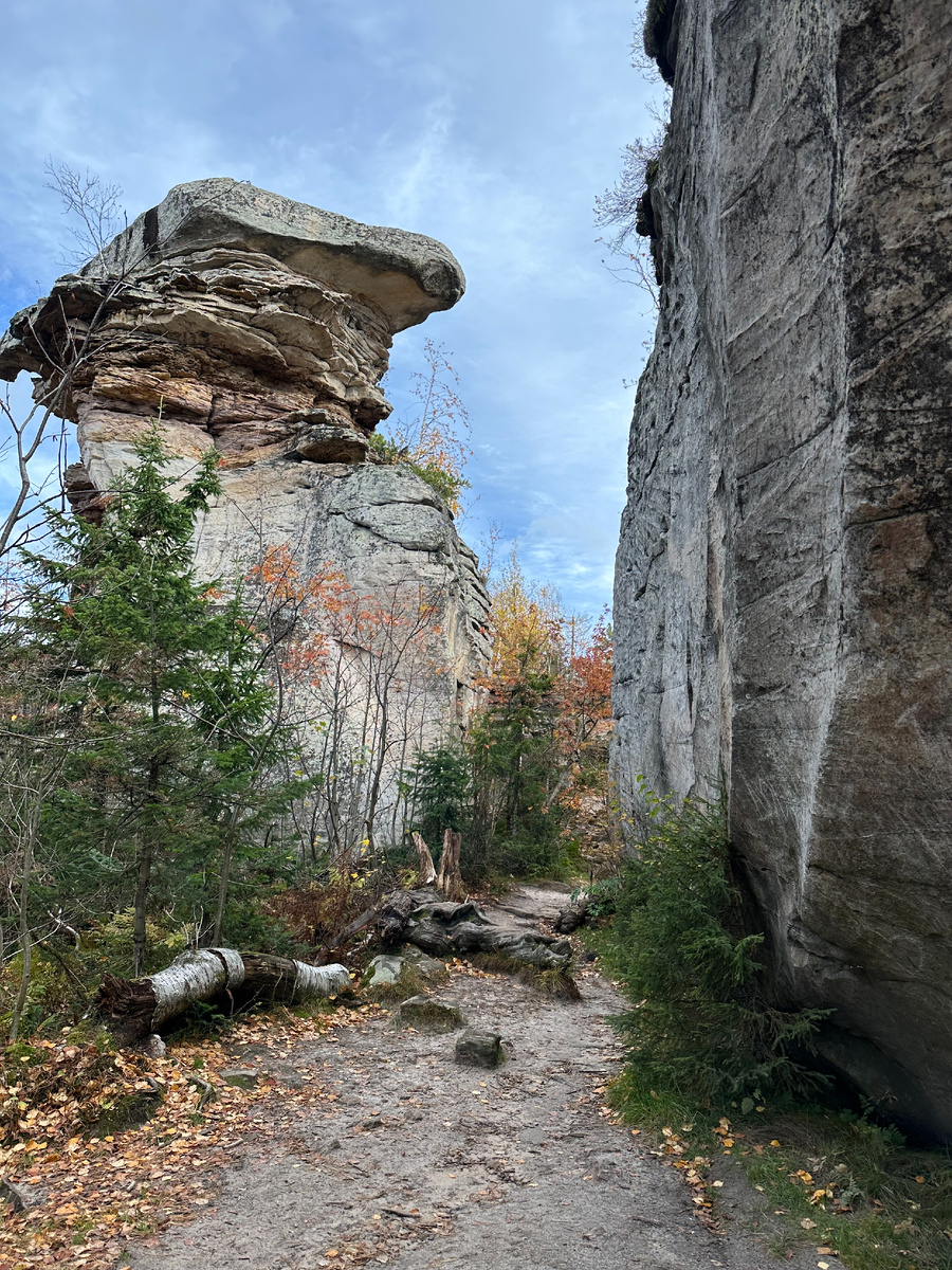 Все фотографии в статье сделаны автором