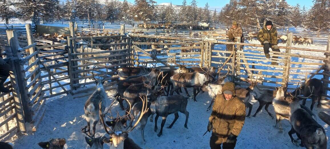 Фото с ресурса Ulus.Media 25.10.23 18:42. В качестве иллюстрации.