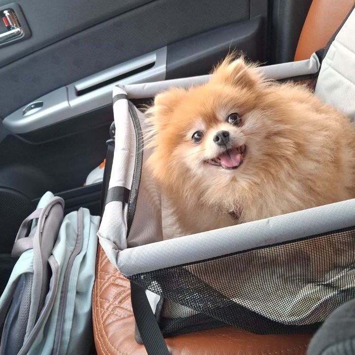 Сидит счастливая в машине после первого укола препарата