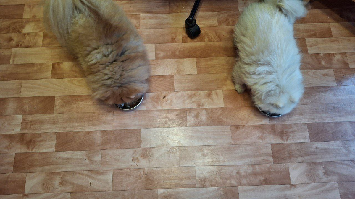 Зато с синхронным поеданием тут проблем никаких