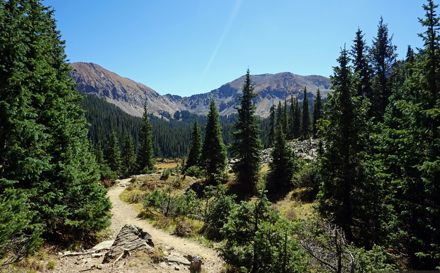 Руссо туристо облико аморален и далеко неферштейн