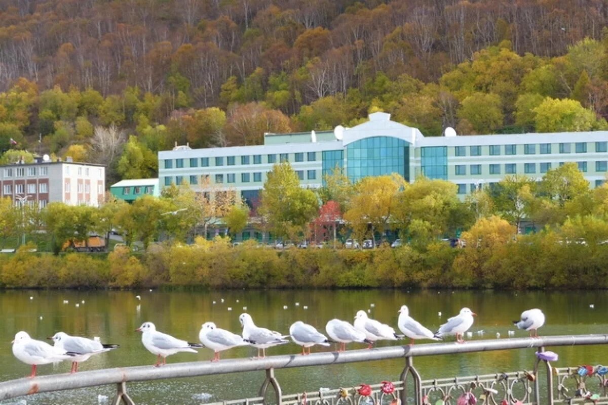    На Камчатке за сутки зафиксировали десять афтершоков