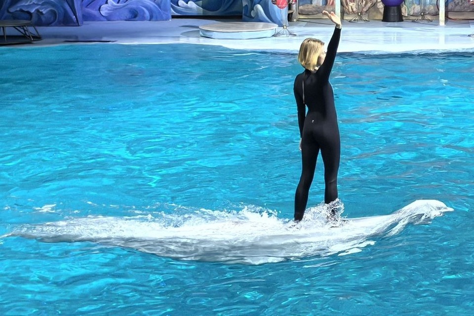    Центр океанографии и морской биологии «Дельфиния» Вера Березовская