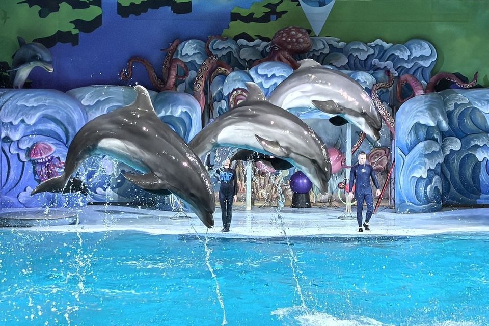    Центр океанографии и морской биологии «Дельфиния» Вера Березовская