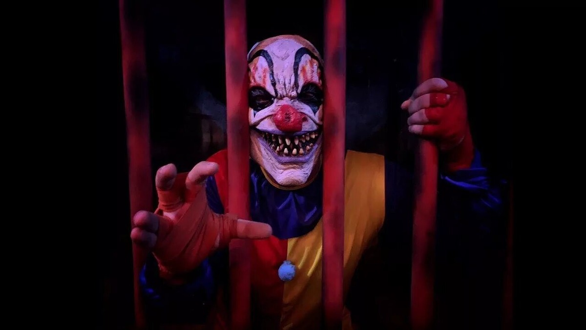 Изображение взято из открытых источников интернета. 