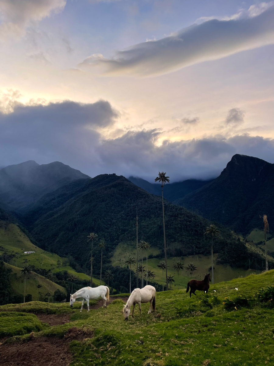 Рассвет в горах