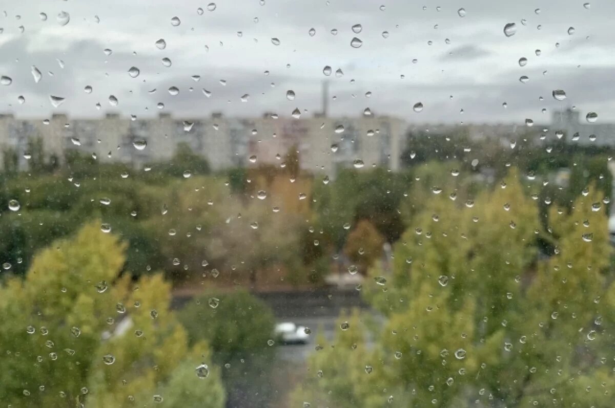    Синоптики пообещали новосибирцам дожди и тепло на выходных