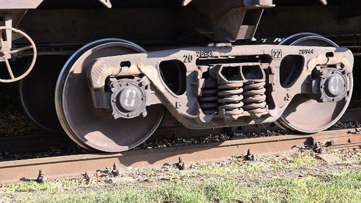    Фото: телеканал «Краснодар»