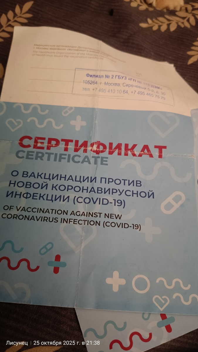 Фото автора. Сохранила на память.