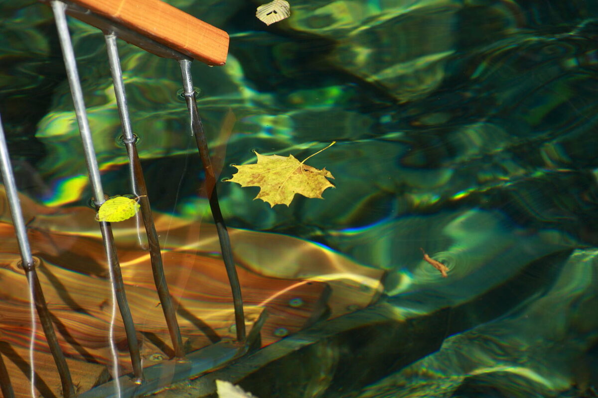 Фото: © Михаил Захаров / «Татар-информ»