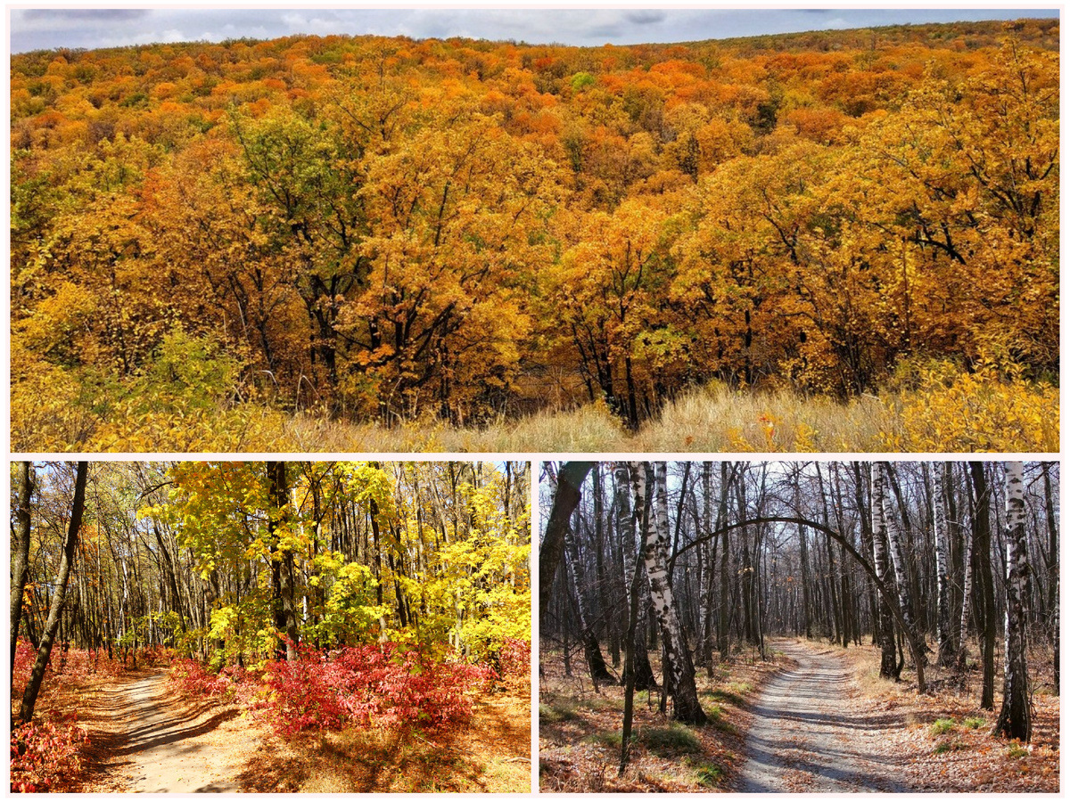Кумысная поляна в Саратове 