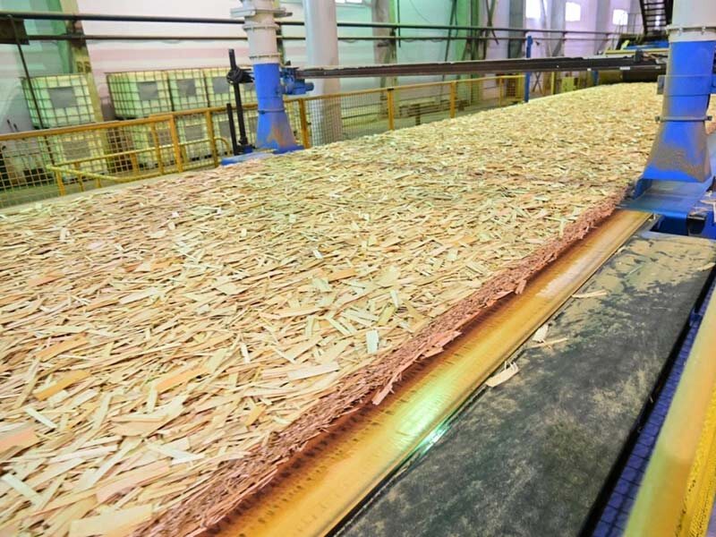 Фото: пресс-служба правительства Карелии