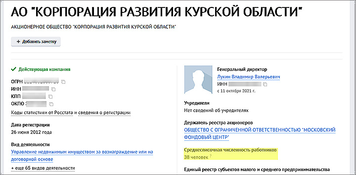 Скриншот: интернет-сайт checko.ru.