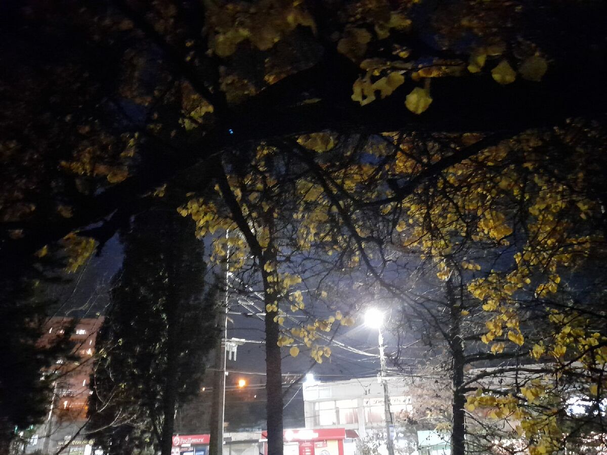 фото: Дед Боровик