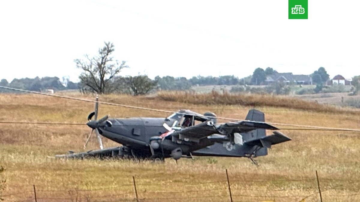    Фото: соцсети