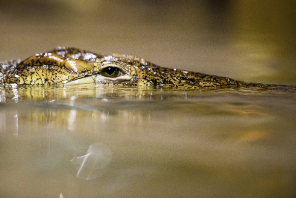    Фото: Ilya Moskovets/URA.RU/Globallookpress