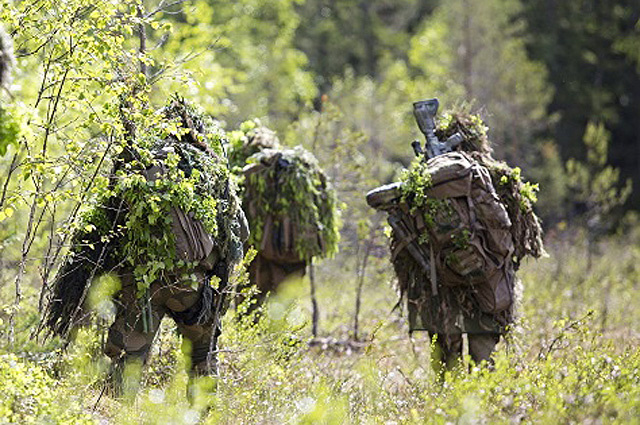    Фото: кадр видео