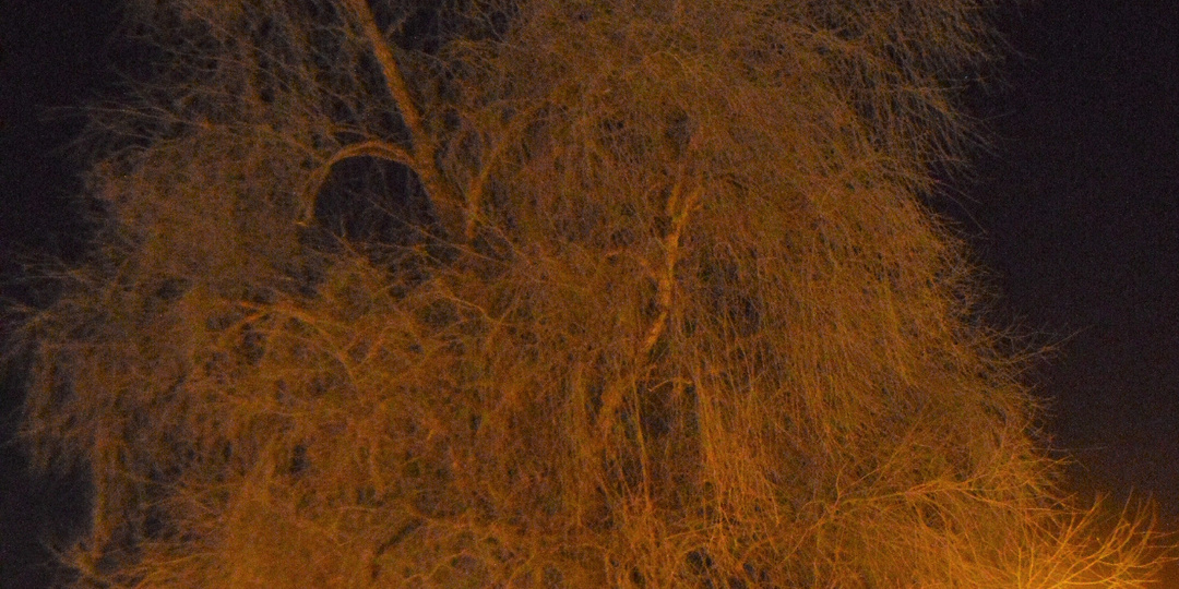 Я сделаю так, что вы больше никогда не увидите внуков