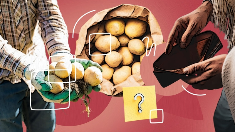      Фото: Камилла Улубаева / / ИА «Победа26»