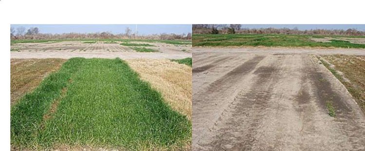    Фото: Jason Bond