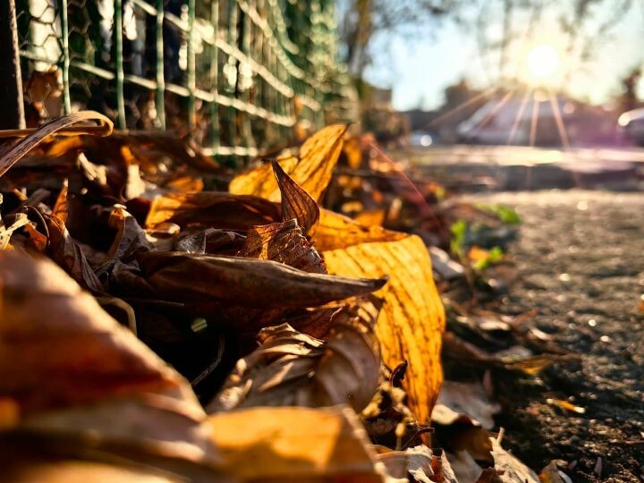    Фото:Ольга Григорьева