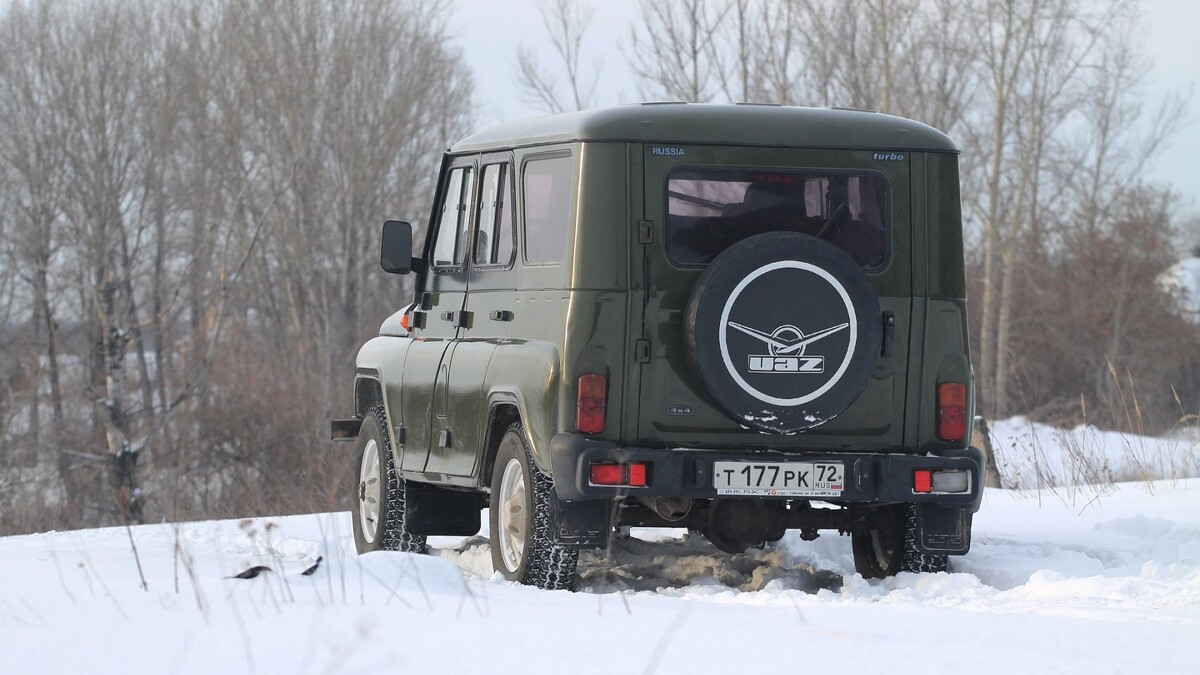    Фото: Matveychuk Anatoliy/Shutterstock/Fotodom