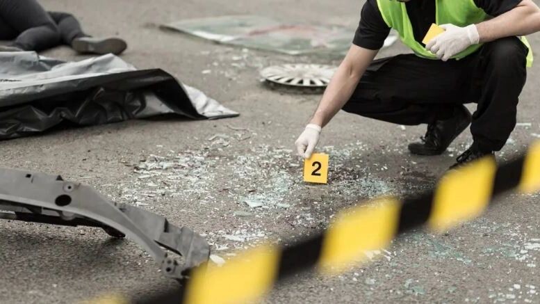    Фото: ESB Professional/Shutterstock/Fotodom