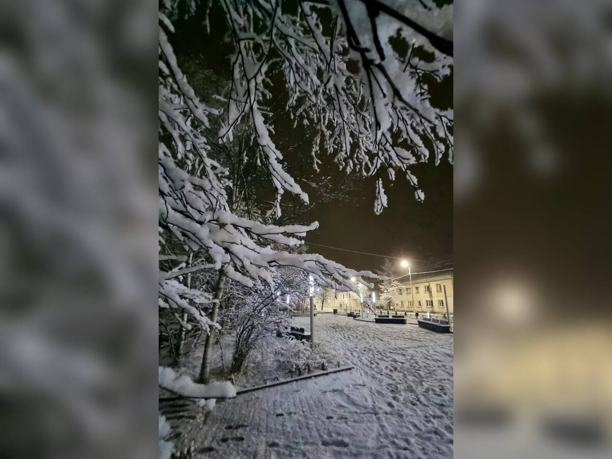 Раиса Дзодзикова