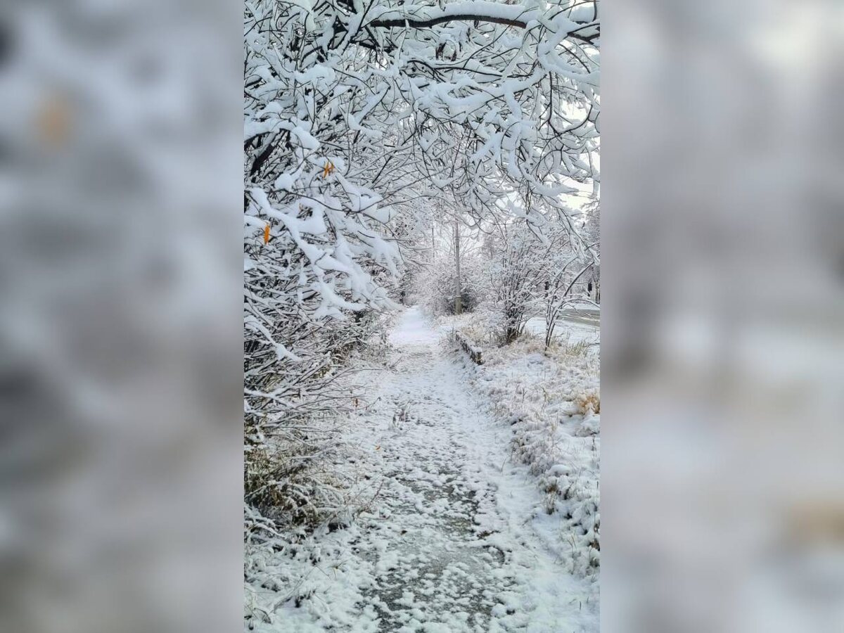 Раиса Дзодзикова