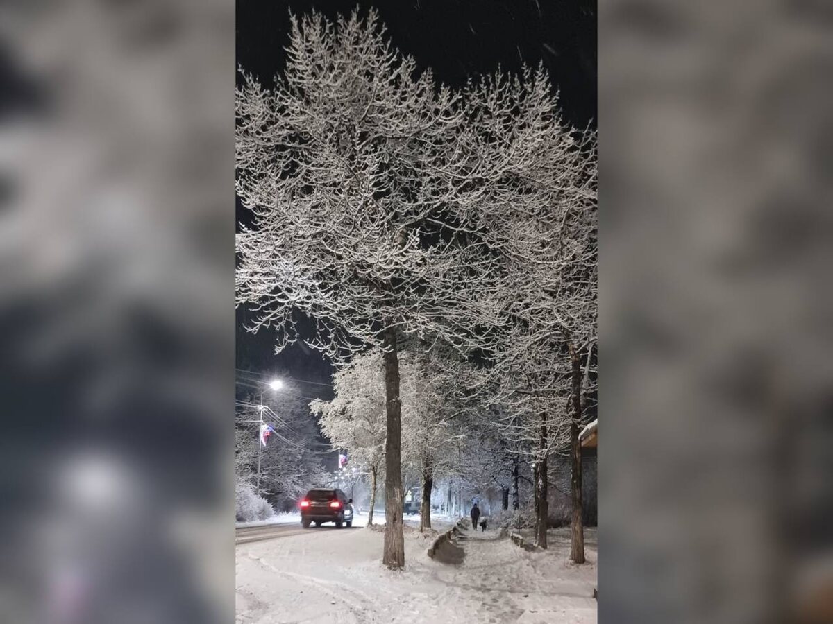 Раиса Дзодзикова