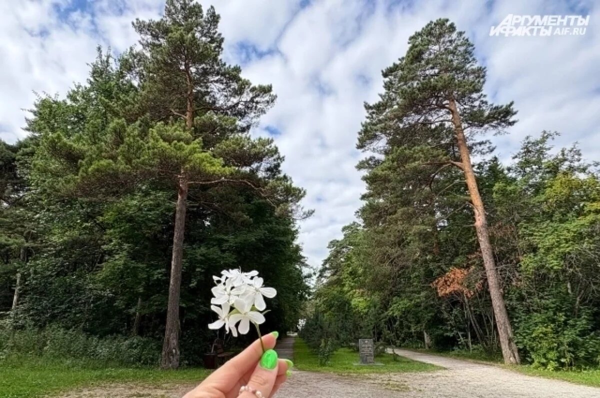    Фото иллюстративное