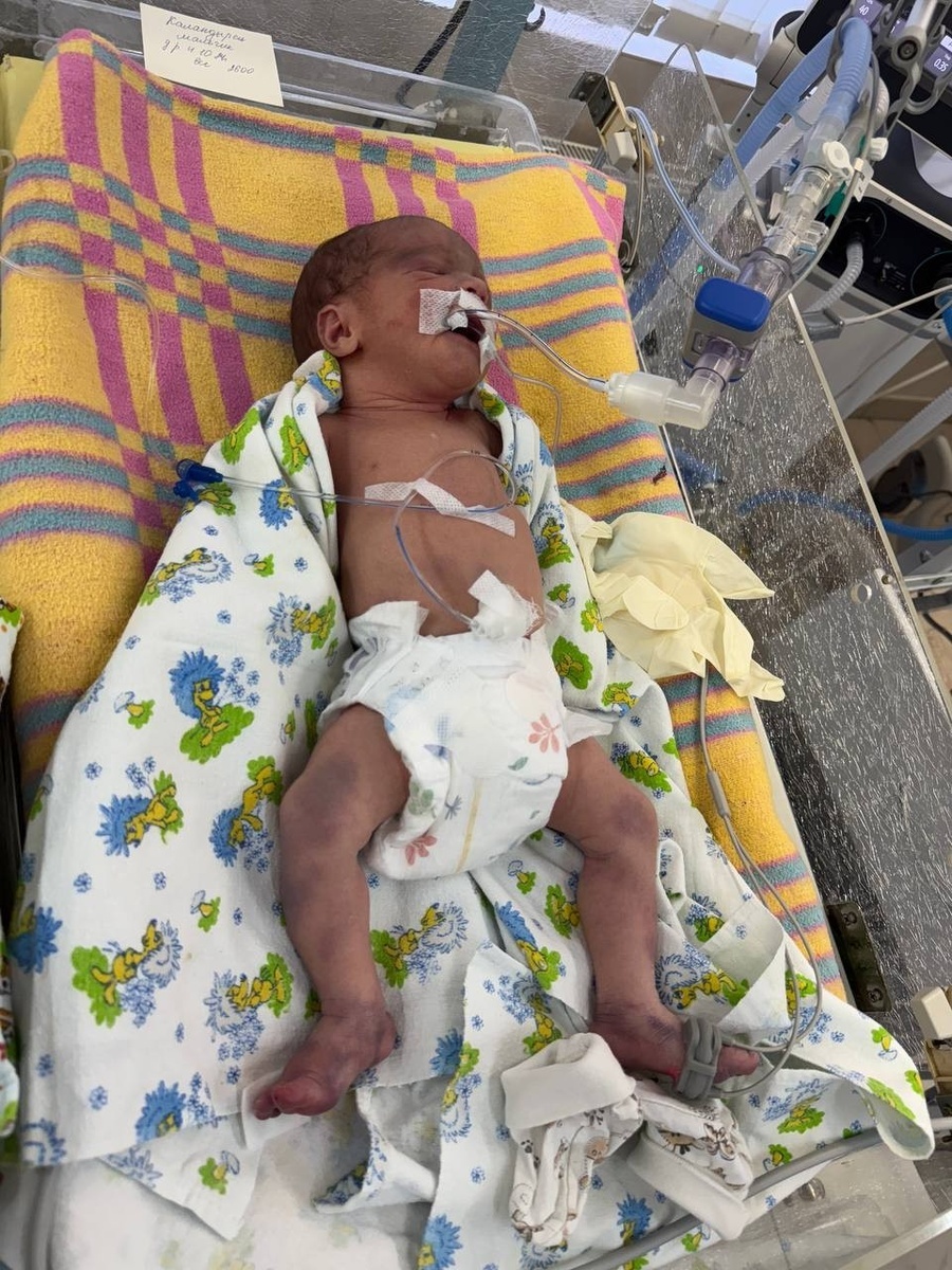 Фото: Лучик из Ялты/Tg