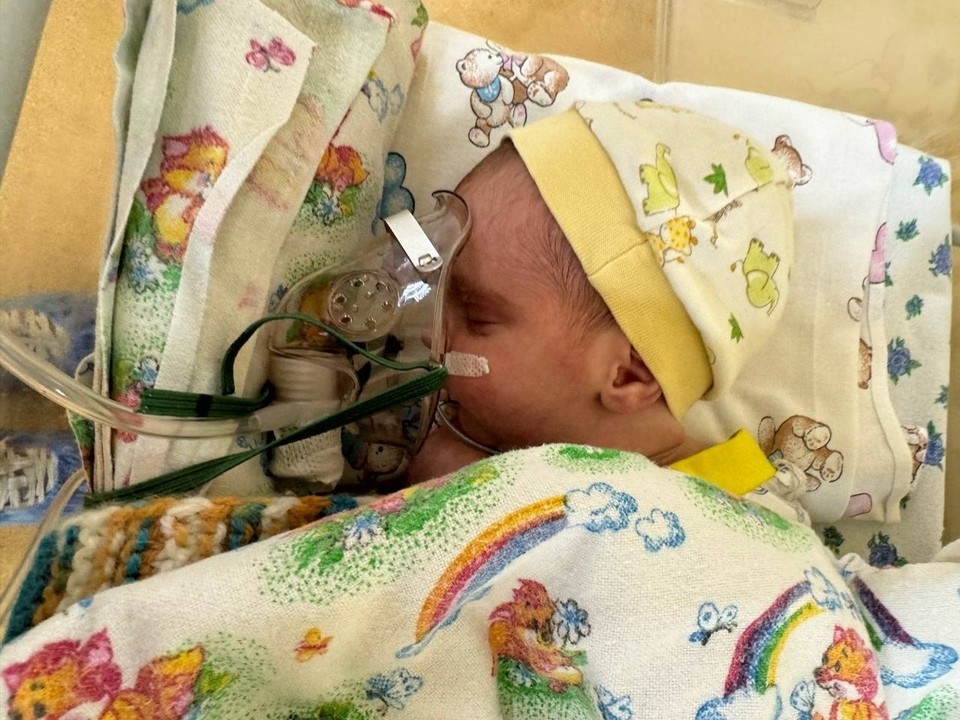 Фото: Лучик из Ялты/Tg