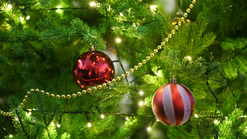    Фото: ИЗВЕСТИЯ/Сергей Лантюхов; 5-tv.ru