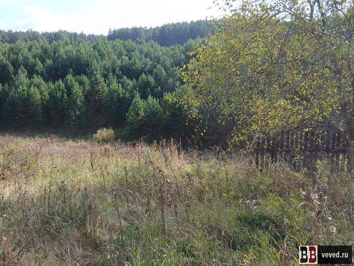     Фото: Вечерние ведомости