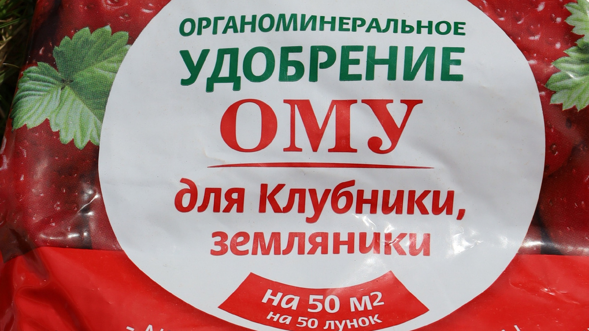Калийно-фосфорные удобрения - основа длительного плодоношения ремонтантных сортов