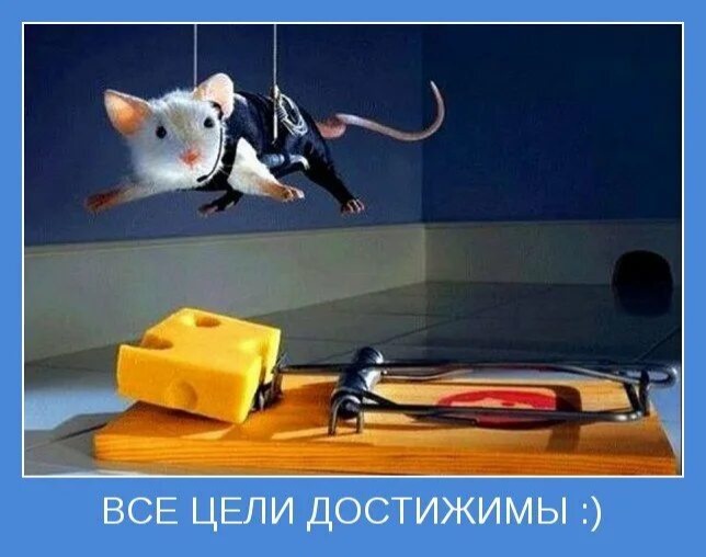 Изображение из открытых источников