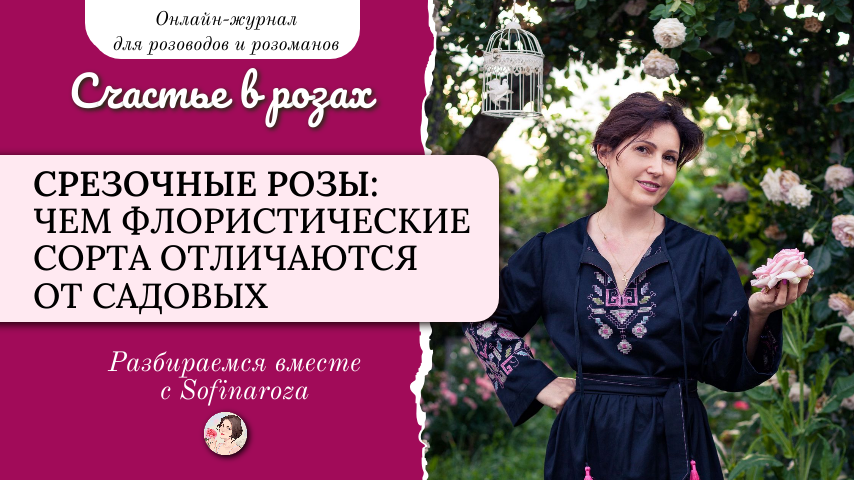 «Счастье в розах», выпуск №44, 24 октября 2025г.
