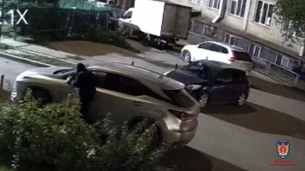     В Красноярске будут судить жителя Воронежа за кражу автомобильных зеркал