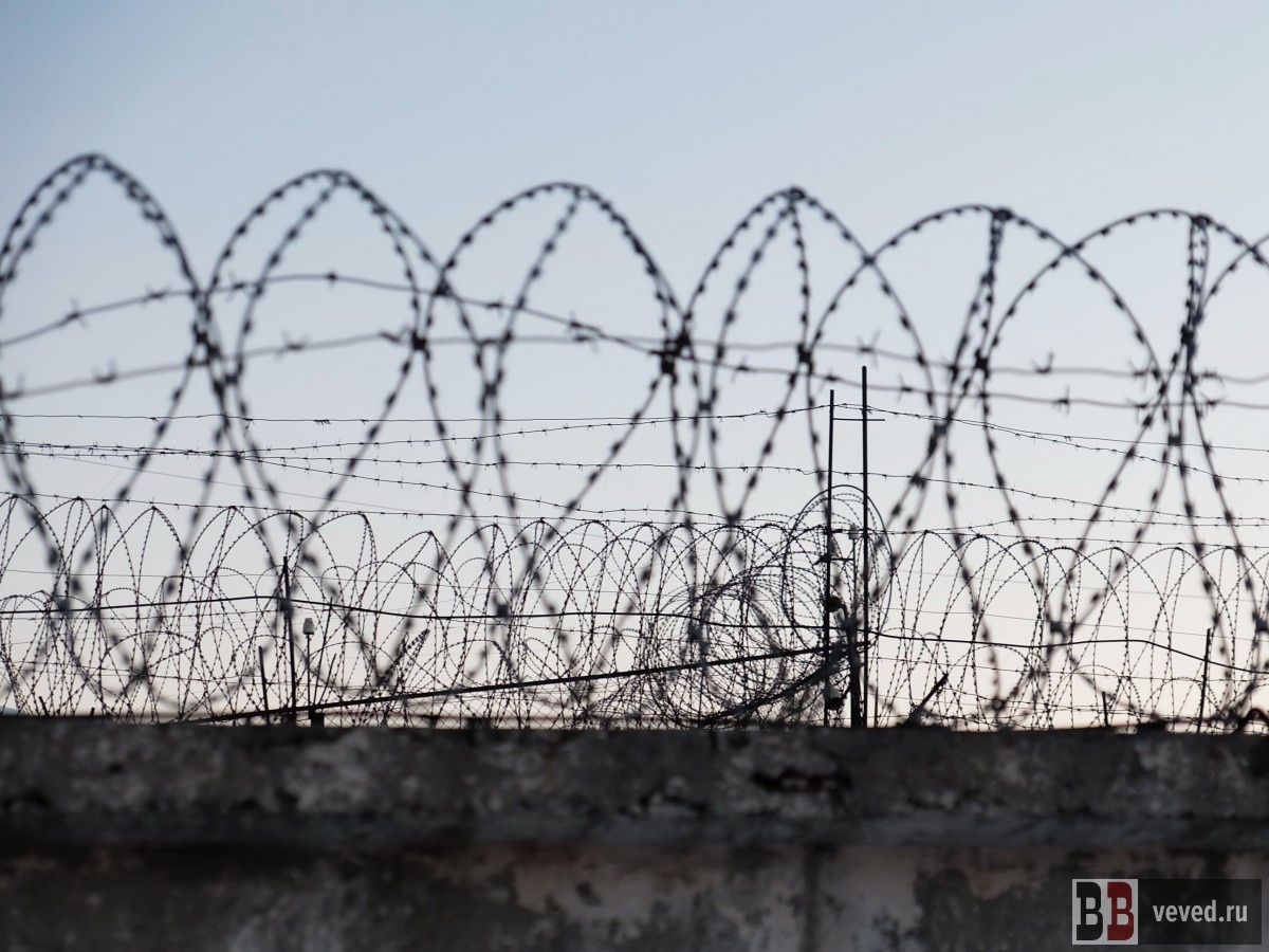     Фото: Владислав Постников / Вечерние ведомости