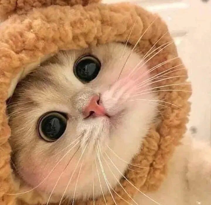 Это Вера💝💝