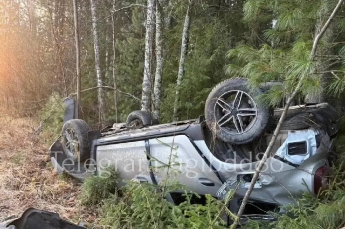    В Югре за сутки три автомобиля упали в кювет, есть пострадавшие