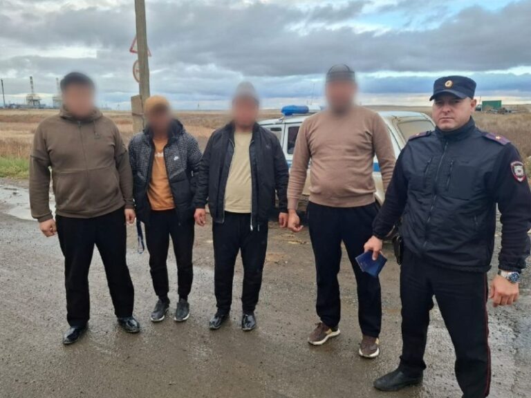    В Первомайском районе выявили более 80 миграционных нарушений Оренбуржье