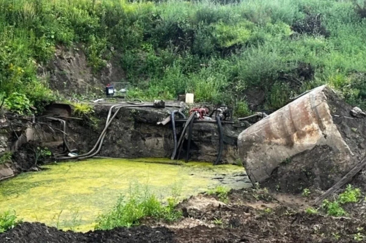    Бизнесмен, вывозивший мусор к «Невскому пятачку», признал вину