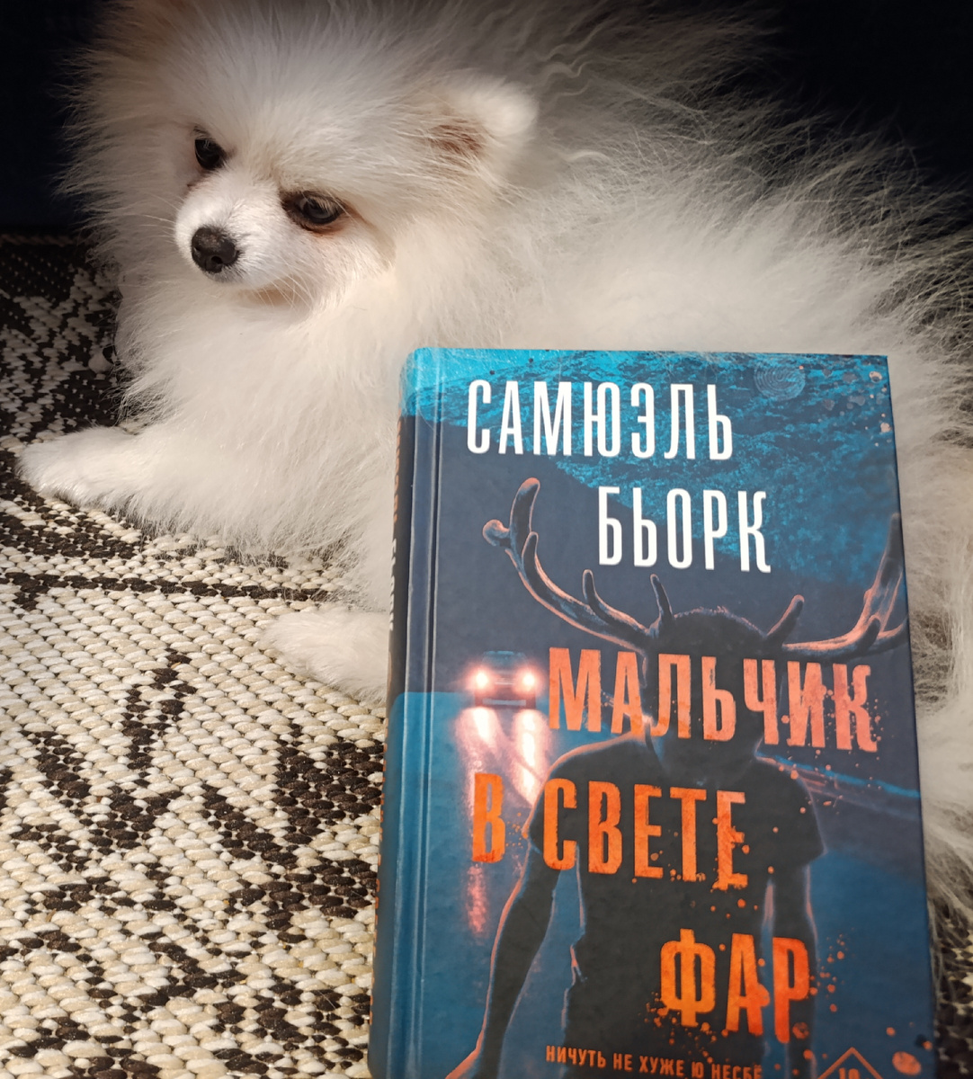 Третью книгу серии презентует Бэлла. 
